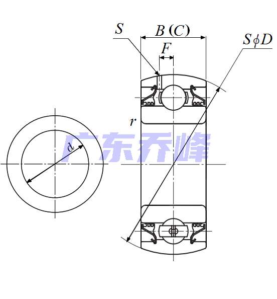 NTN DS209TTR10軸承圖紙